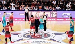 李宁篮球爆料视频最新版,揭秘篮球传奇背后的故事与挑战