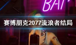 流浪者最新爆料视频大全,揭秘幕后真相与感人瞬间