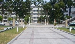 襄阳一中最新爆料,揭秘校园风云与学子风采